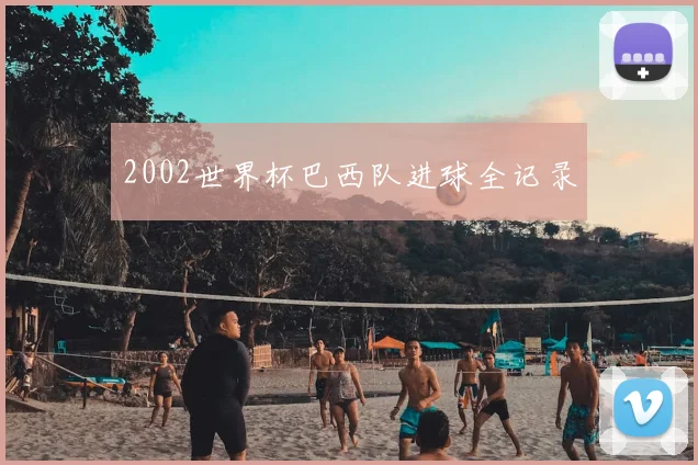 2002世界杯巴西队进球全记录