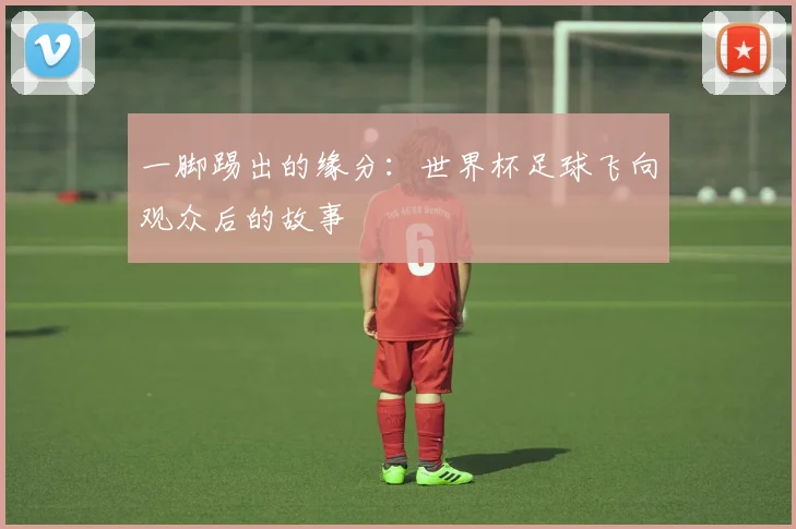一脚踢出的缘分:世界杯足球飞向观众后的故事