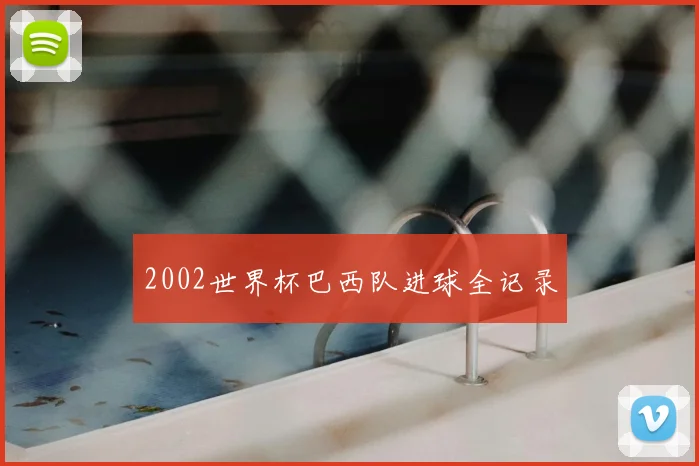 2002世界杯巴西队进球全记录