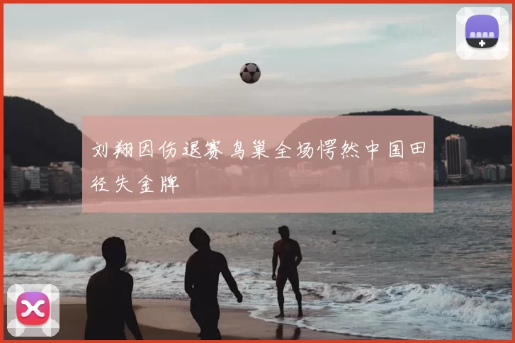 刘翔因伤退赛鸟巢全场愕然中国田径失金牌