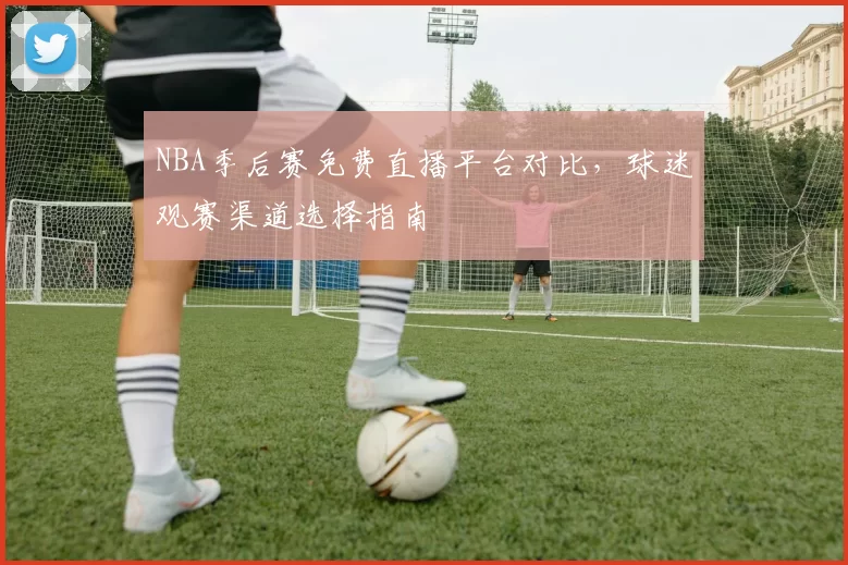 NBA季后赛免费直播平台对比，球迷观赛渠道选择指南