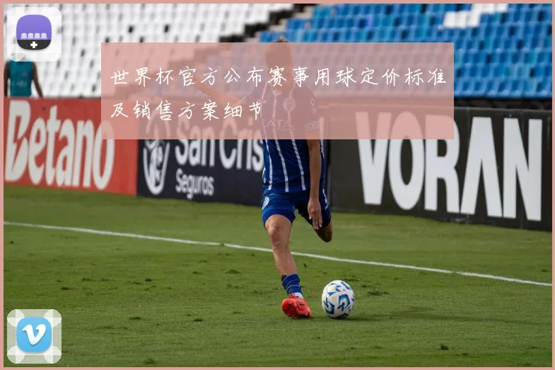 世界杯官方公布赛事用球定价标准及销售方案细节