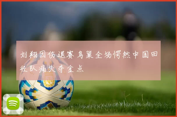 刘翔因伤退赛鸟巢全场愕然中国田径队痛失夺金点