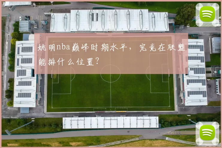 姚明nba巅峰时期水平，究竟在联盟能排什么位置？